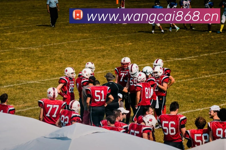 App Interface Preview